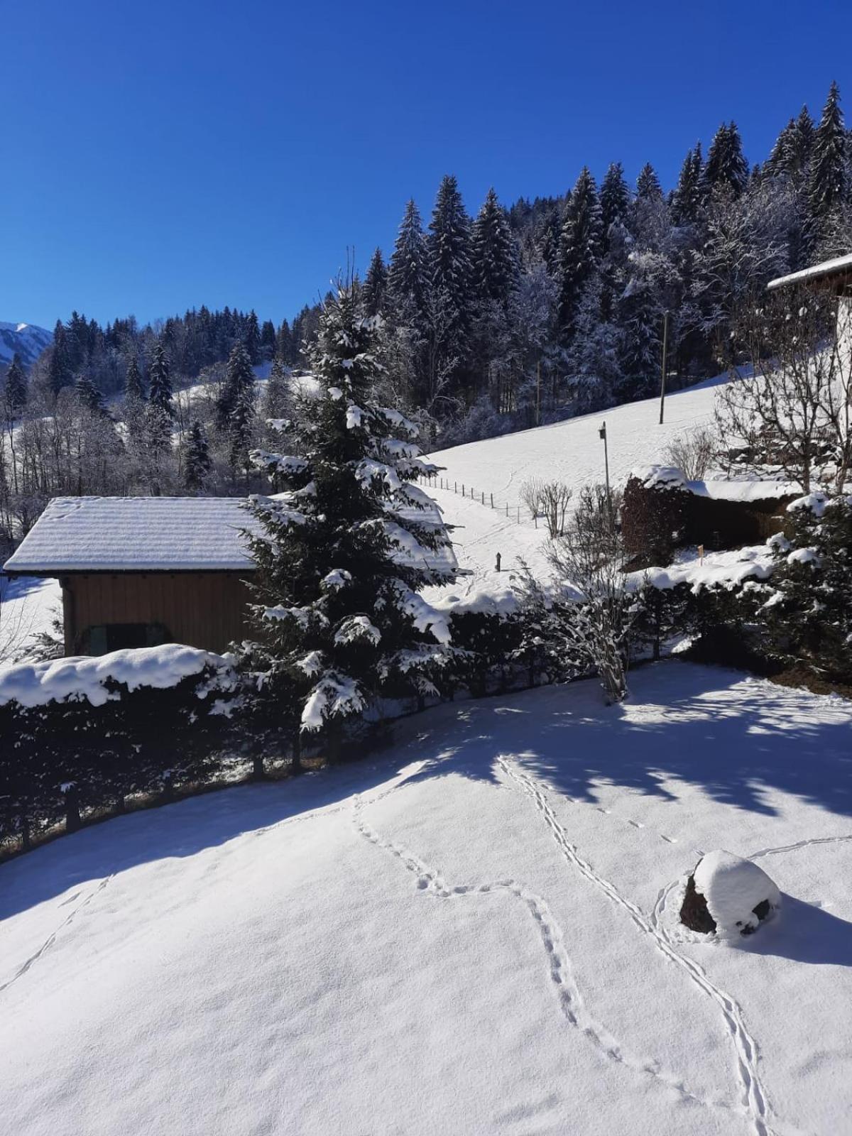 Berghof Mehlan Hotel Fischen im Allgaeu Phòng bức ảnh