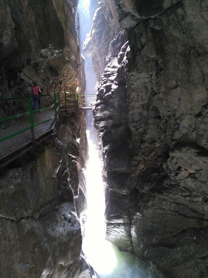 Berghof Mehlan Hotel Fischen im Allgaeu Ngoại thất bức ảnh